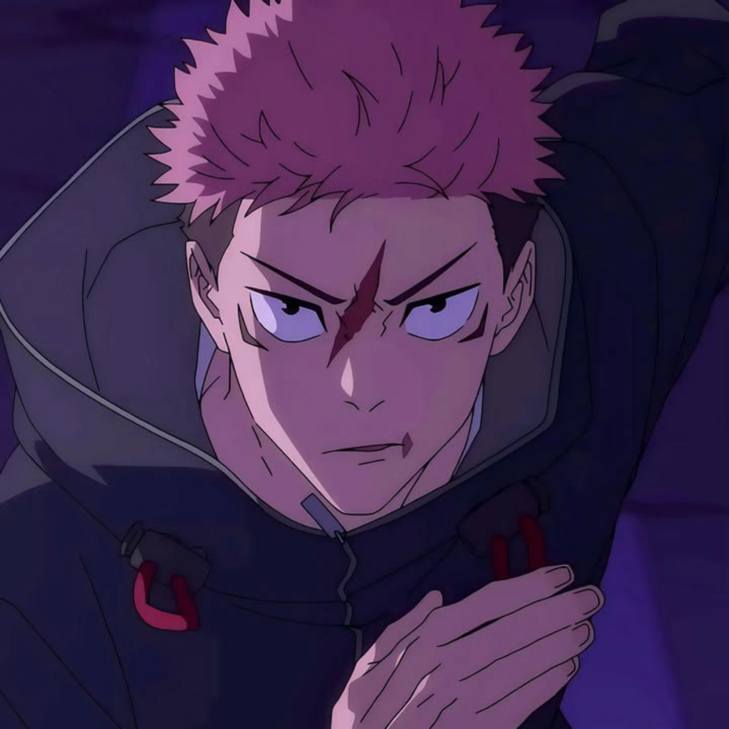 Dexter profile photo